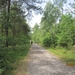 wandeling in Hamont 16-6-2013 077