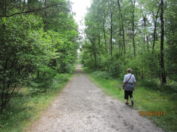wandeling in Hamont 16-6-2013 081