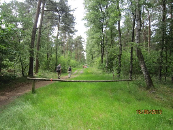 wandeling in Hamont 16-6-2013 082