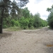 wandeling in Hamont 16-6-2013 084