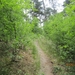 wandeling in Hamont 16-6-2013 085