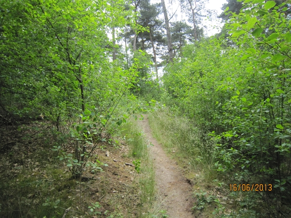 wandeling in Hamont 16-6-2013 085