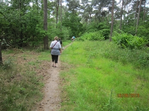 wandeling in Hamont 16-6-2013 088