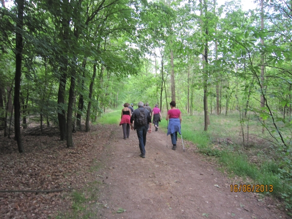 wandeling in Hamont 16-6-2013 090