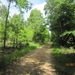 wandeling in Hamont 16-6-2013 091
