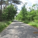wandeling in Hamont 16-6-2013 092