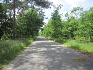 wandeling in Hamont 16-6-2013 092