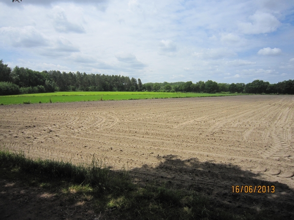 wandeling in Hamont 16-6-2013 093