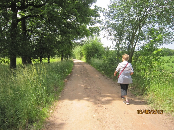 wandeling in Hamont 16-6-2013 094
