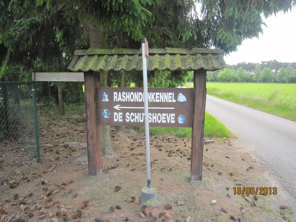 wandeling in Hamont 16-6-2013 102