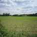 wandeling in Hamont 16-6-2013 103