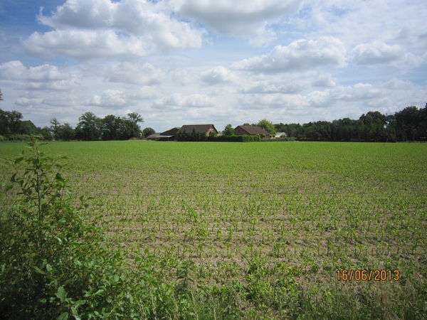 wandeling in Hamont 16-6-2013 103