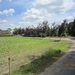 wandeling in Hamont 16-6-2013 104