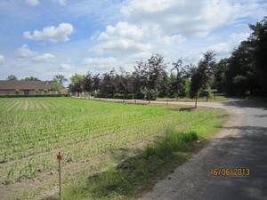 wandeling in Hamont 16-6-2013 104