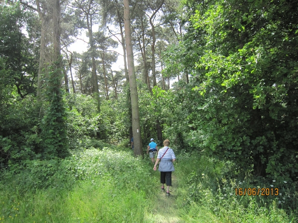 wandeling in Hamont 16-6-2013 105