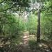 wandeling in Hamont 16-6-2013 106