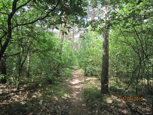 wandeling in Hamont 16-6-2013 106