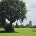 wandeling in Hamont 16-6-2013 110