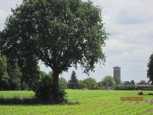 wandeling in Hamont 16-6-2013 110