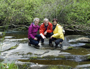 Aviemore Wandelen in de regen