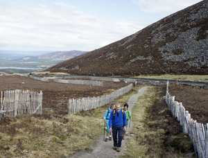 Cairngorms National Park  -  Schotland