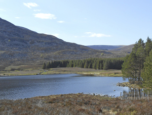 Aviemore
