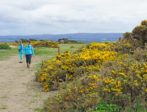 Fairy Glen, Isle of Skye