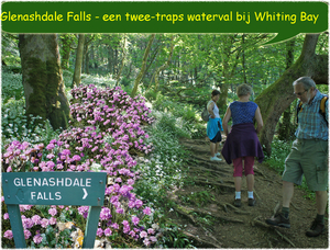 Glenashdale Falls bij Withing bay