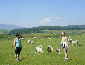 Marcherie moor stone