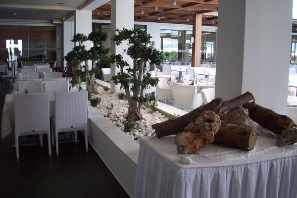 Hotel Palazzo Del Mare