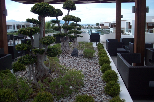 Hotel Palazzo Dem Mare