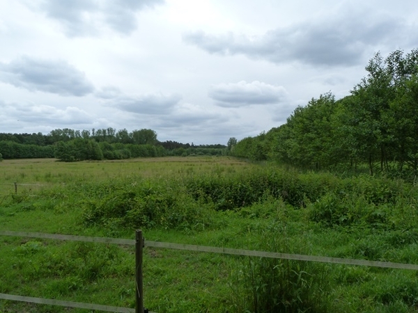 17-Natuur in Stropersbos