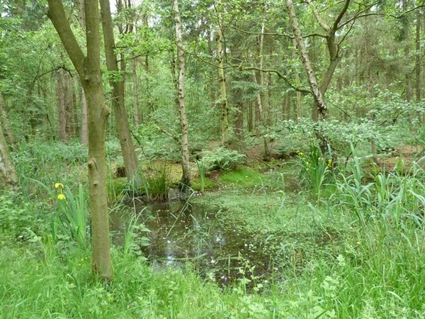 25-Natuur en water in Stropersbos