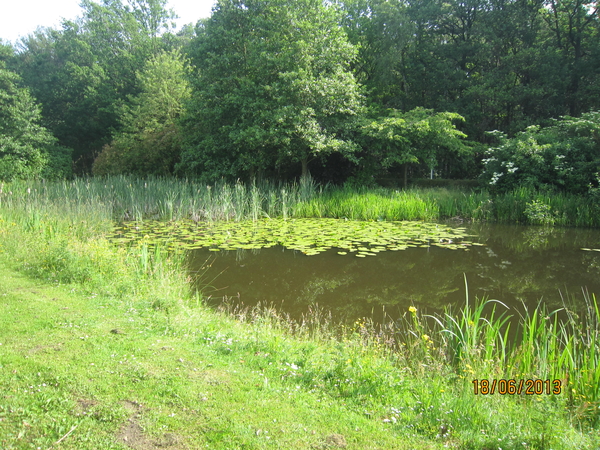 Zeurt 18-6-2013 002