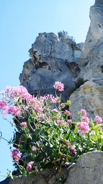 Vacanciel La Calanque Carry-le-Rouet Intersoc Neos Bissegem