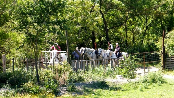 Neos Bissegem Carry-le-Rouet Intersoc