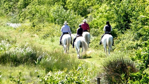 Neos Bissegem Carry-le-Rouet Intersoc