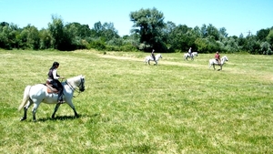 2013_06_12 Carry-le-Rouet 035