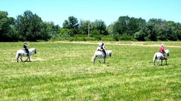 Neos Bissegem Carry-le-Rouet Intersoc