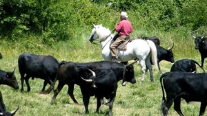 2013_06_12 Carry-le-Rouet 042