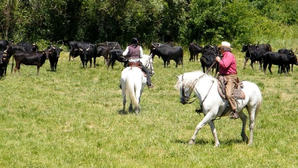 Neos Bissegem Carry-le-Rouet Intersoc