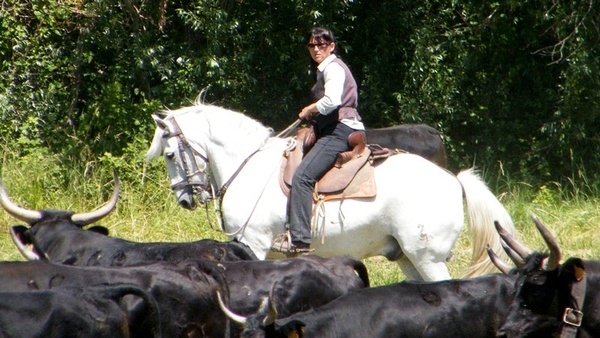 Neos Bissegem Carry-le-Rouet Intersoc