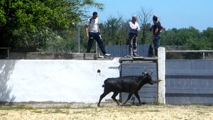 2013_06_12 Carry-le-Rouet 055