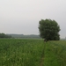 2013-06 19 Zottegem 001