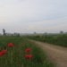 2013-06 19 Zottegem 002