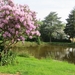 2013-06 19 Zottegem 006