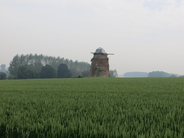 2013-06 19 Zottegem 008