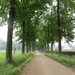 2013-06 19 Zottegem 009