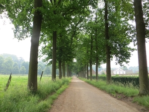 2013-06 19 Zottegem 009