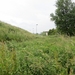 2013-06 19 Zottegem 013